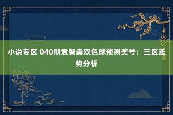 小说专区 040期袁智囊双色球预测奖号：三区走势分析